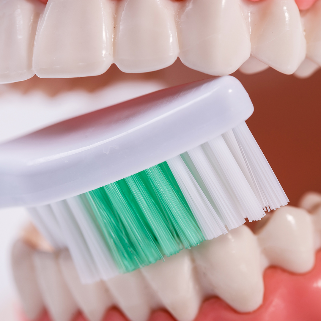 Toothbrush with long-lasting, high-quality bristles for extended durability.