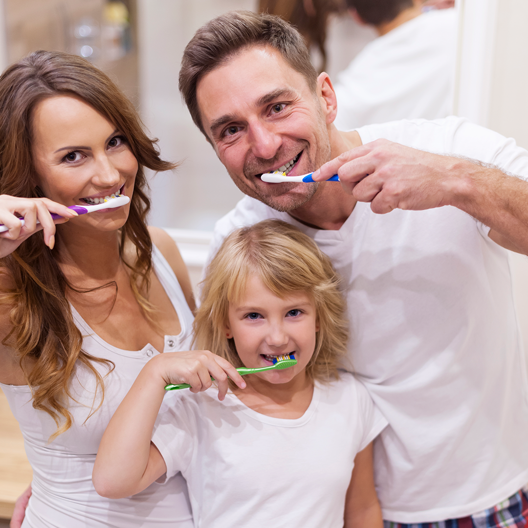 Family pack of toothbrushes featuring a range of sizes and styles for all family members.