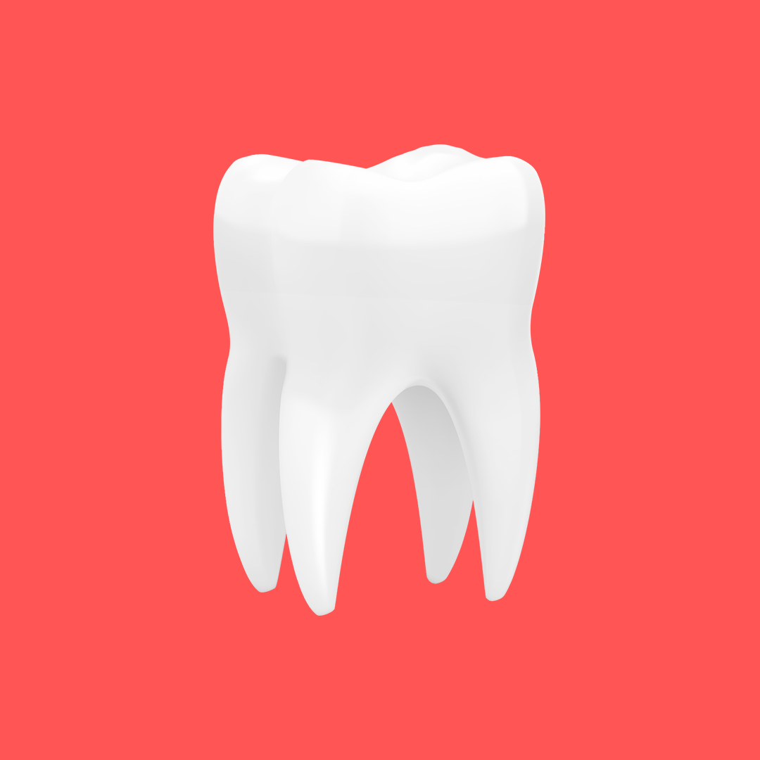 Achieving clean teeth with regular brushing using fluoride toothpaste, essential for good oral health and overall well-being.