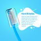Supreme Manual Toothbrush For Adults With Anti Bacterial Crystal Clear Cap
